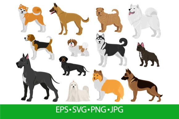 Cartoon Dogs Different Breeds, Funny: A Designer Review